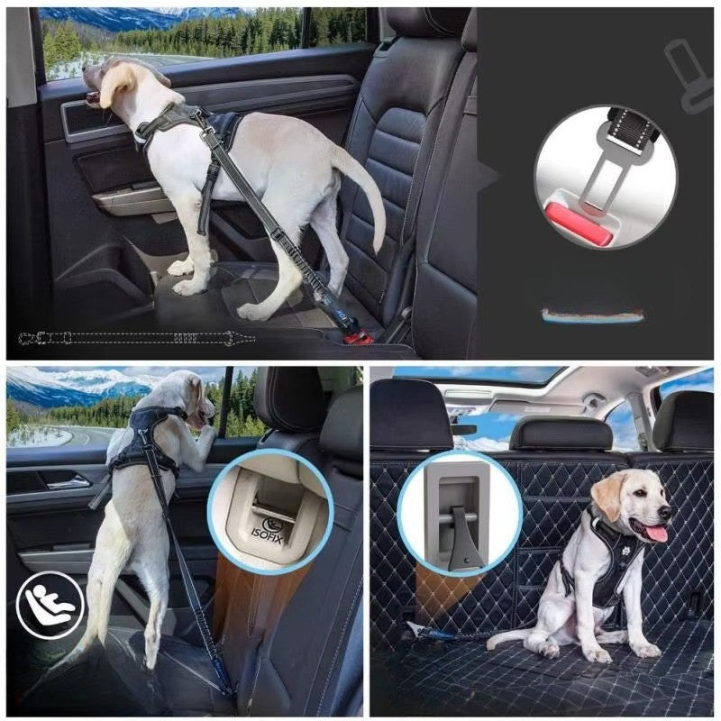 Cinto de Segurança | Pet Reflex™