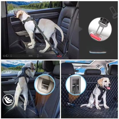 Cinto de Segurança | Pet Reflex™