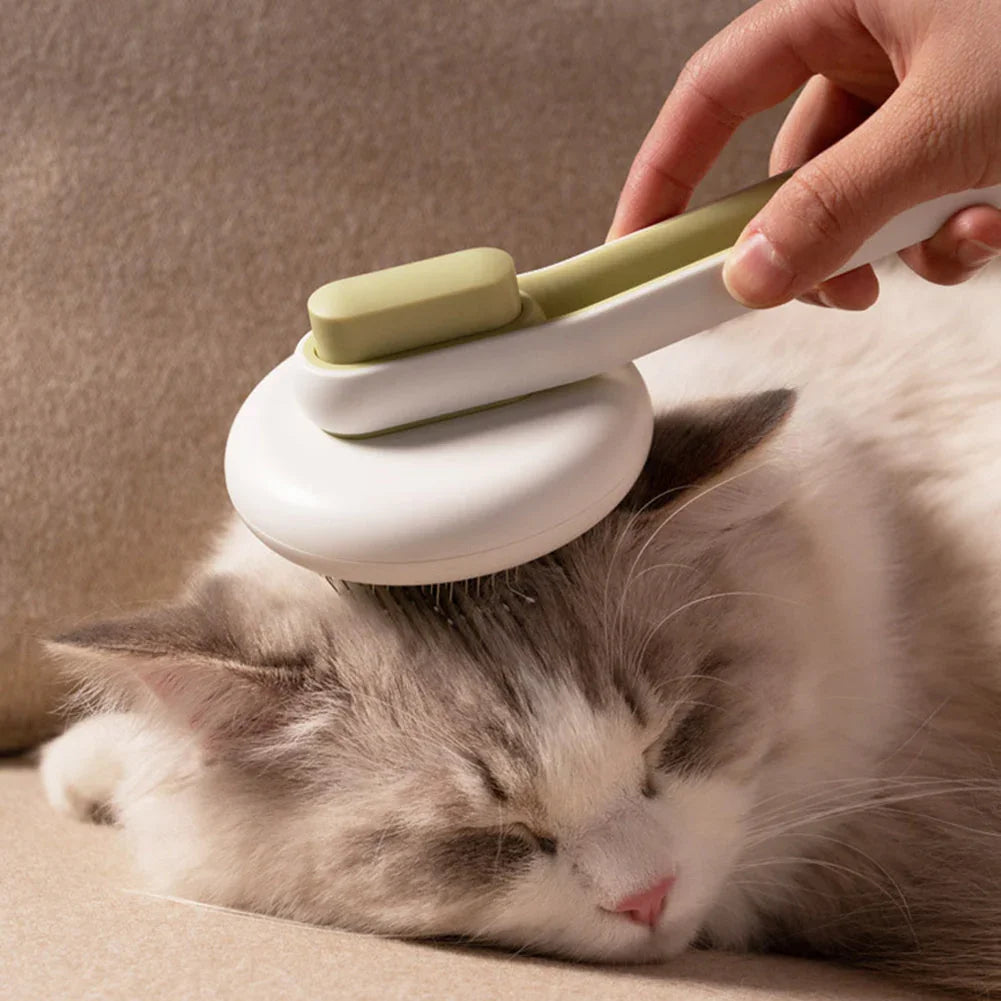 Escova de limpeza para gatos sendo usada em gato de pelos longos deitado e relaxado